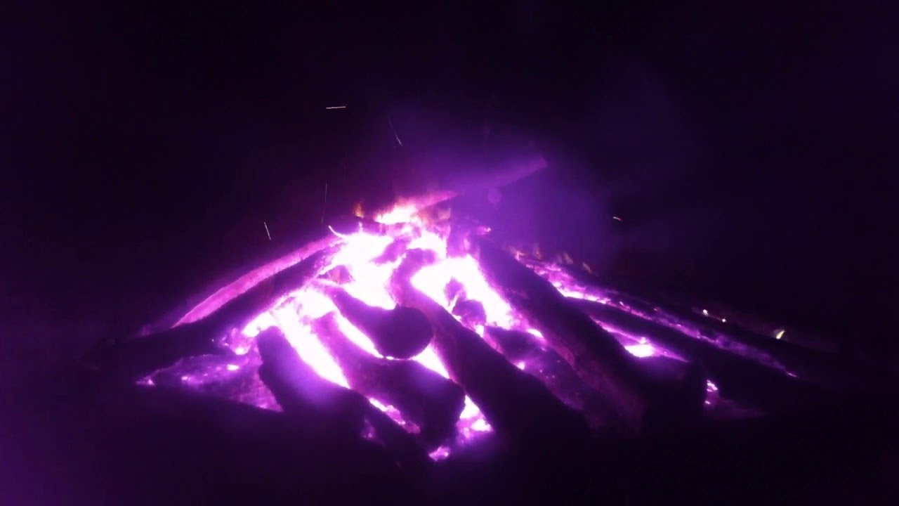 Feu Sacré  violet de Toussaint
