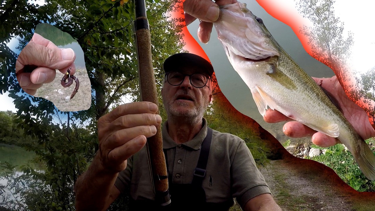 Pesca con Lombrico e Coda di Topo: Tecnica in Lago