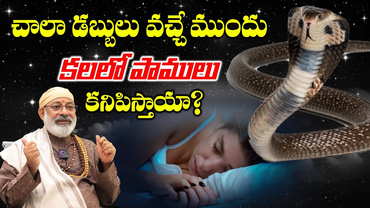 చాలా డబ్బులు వచ్చే ముందు కలలో పాములు కనిపిస్తాయా? Dreaming About Snakes good or Bad?