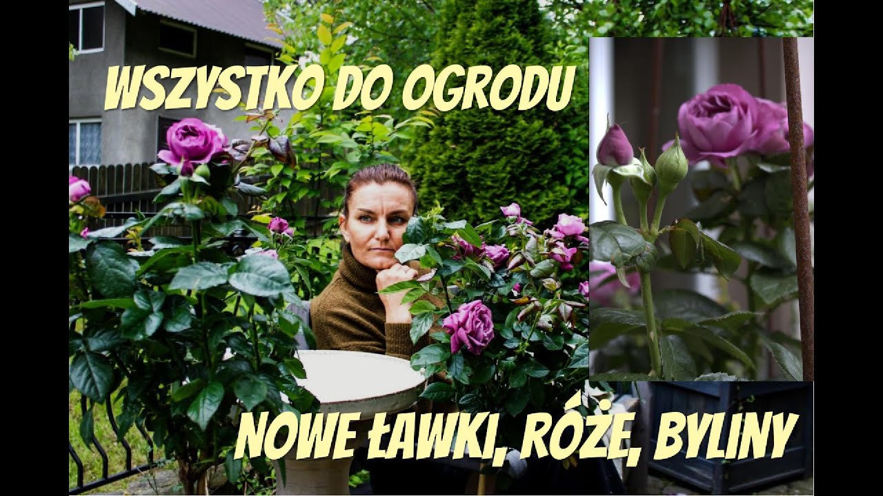 ZAKUPY DO OGRODU, ŁAWKI, RÓŻE, BYLINY