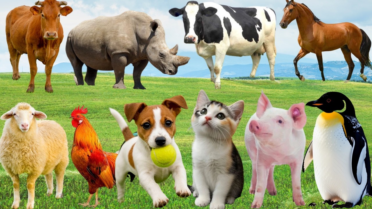 🌿 Đồng Quê Thân Thương Lan Tỏa Tiếng Ca – Chó, Mèo, Bò & Gà Chung Vui Rộn Ràng | FarmAnimals 🐓🐄🐶🐱