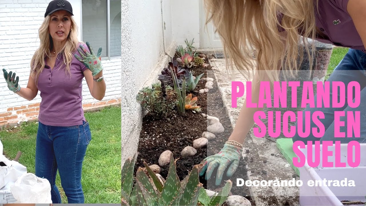 👩🏼‍🌾  Decorando jardinera en entrada, plantando en suelo