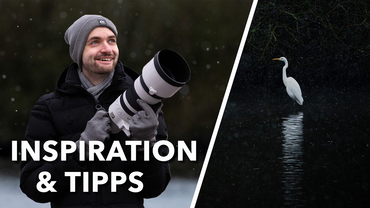 Winterfotografie für Naturfotografen | Wasservögel, Schnee & Inspiration
