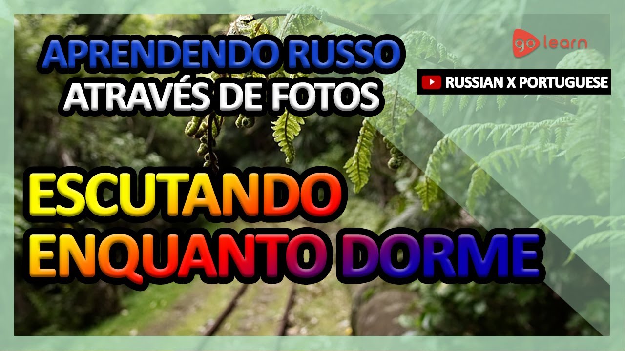 Aprendendo Russo Através De Fotos |Vocabulário Russo Escutando Enquanto Dorme | Golearn