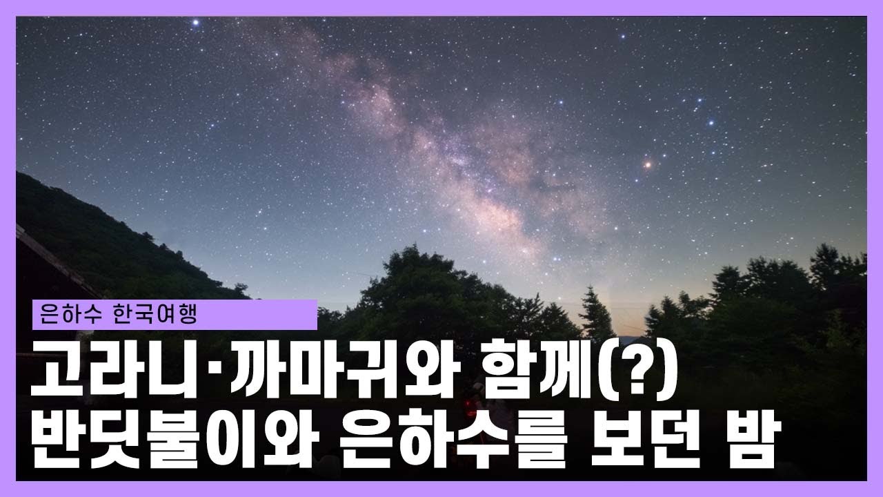 고라니와 함께 6월 반딧불이·은하수 보기