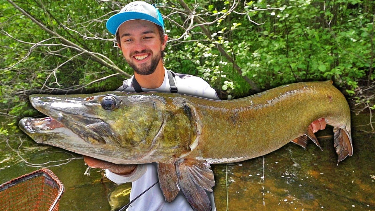 MICRO RIVER Musky Fishing - INSANE EAT!!!