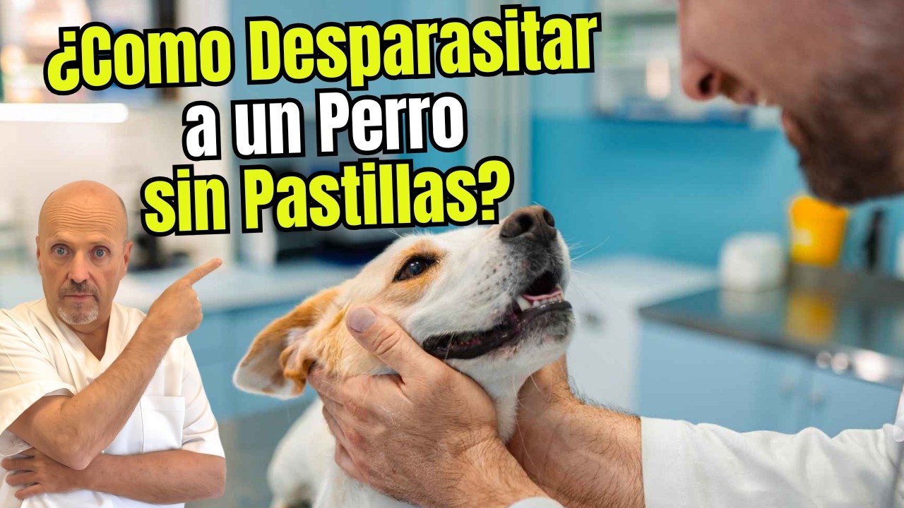 🐶🪱 &iquest;COMO DESPARASITAR A UN PERRO SIN PASTILLAS? 🐶🪱