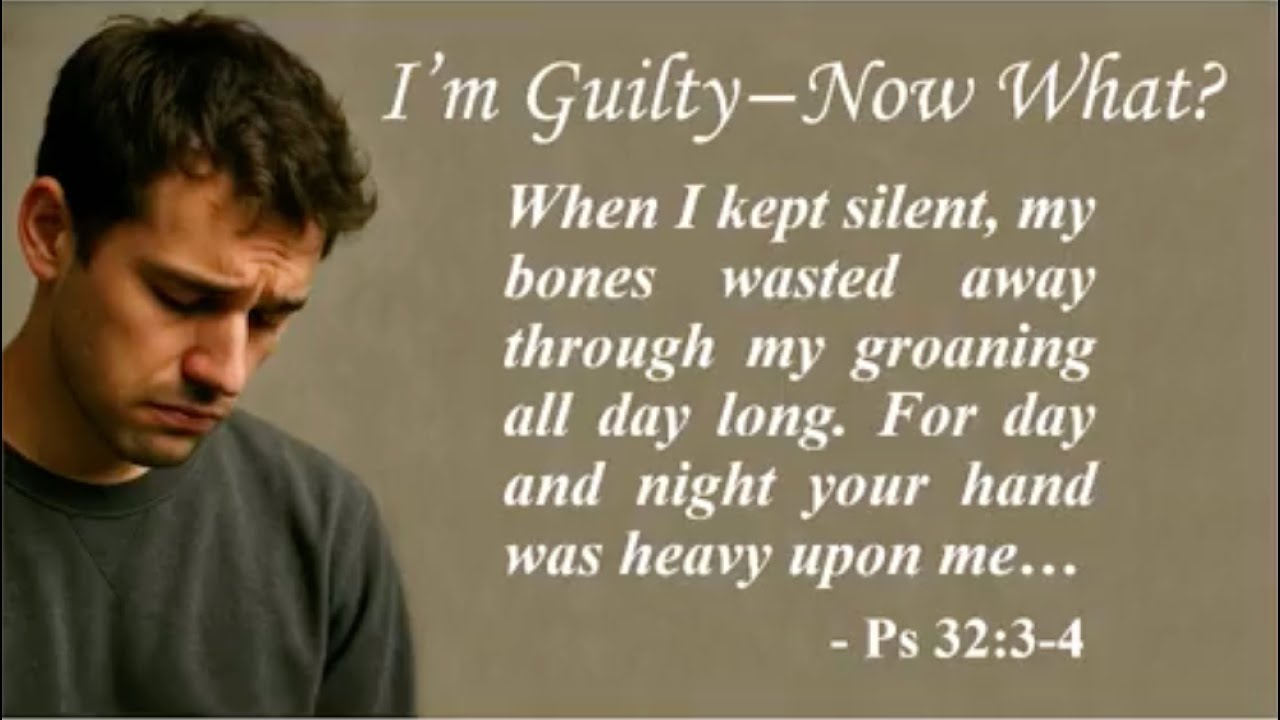 I'm Guilty - Now What? (Warren King)
