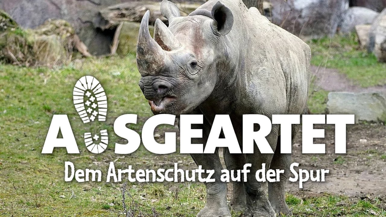 AUSGEARTET - Folge 30: Mit Robert auf den Spuren des Ostafrikanischen Spitzmaulnashorns