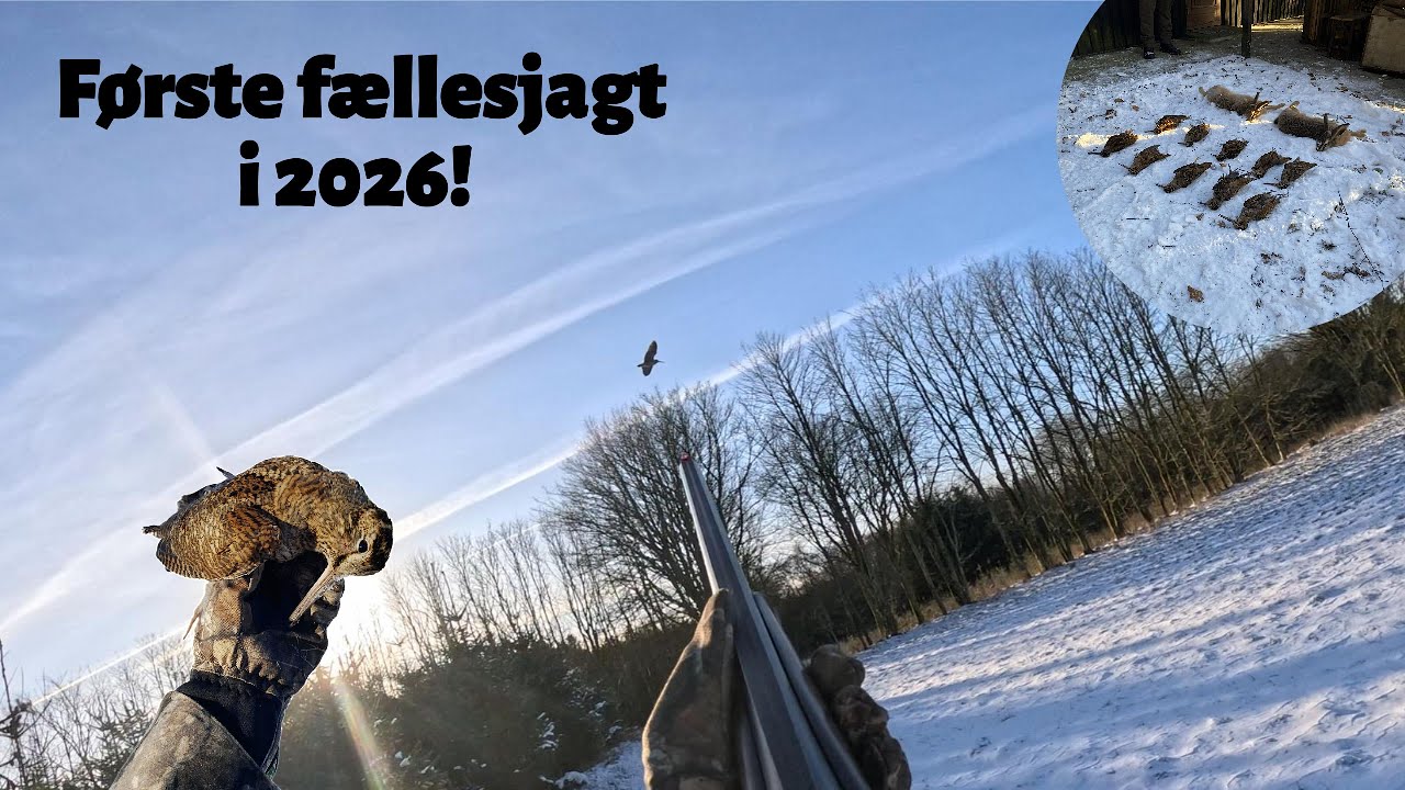 Første Fællesjagt I 2026!!!