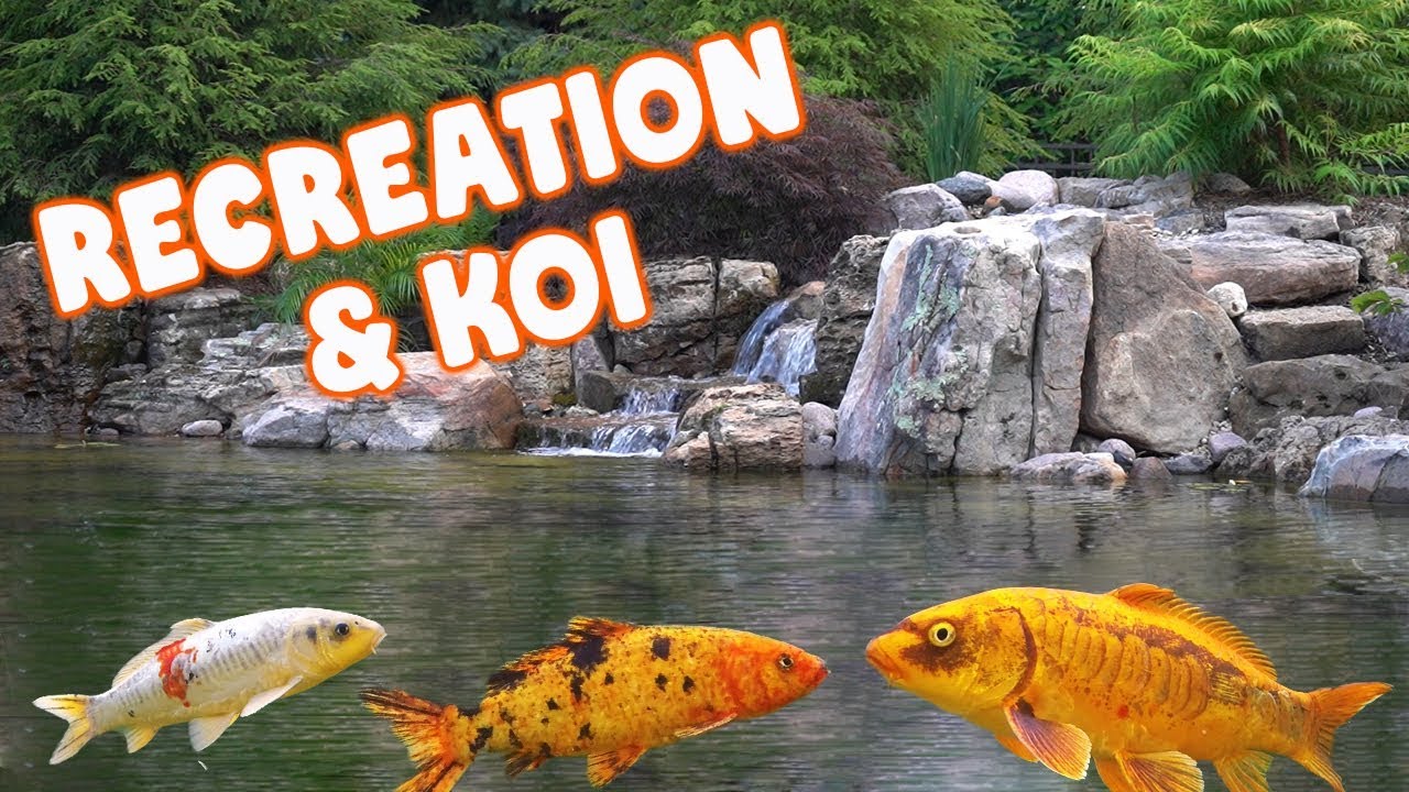 EPIC Recreation Pond: The Secrets Revealed!