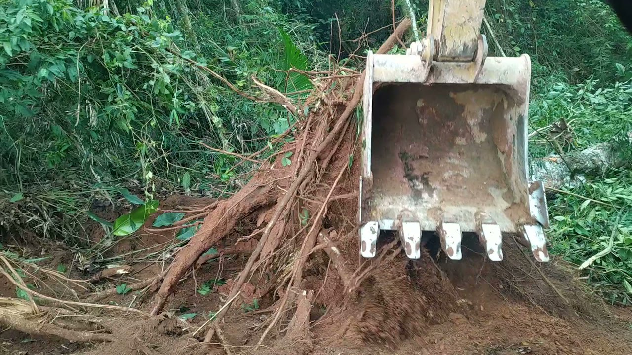 escavadeira hidráulica CAT..destoca de café em ribanceira....
