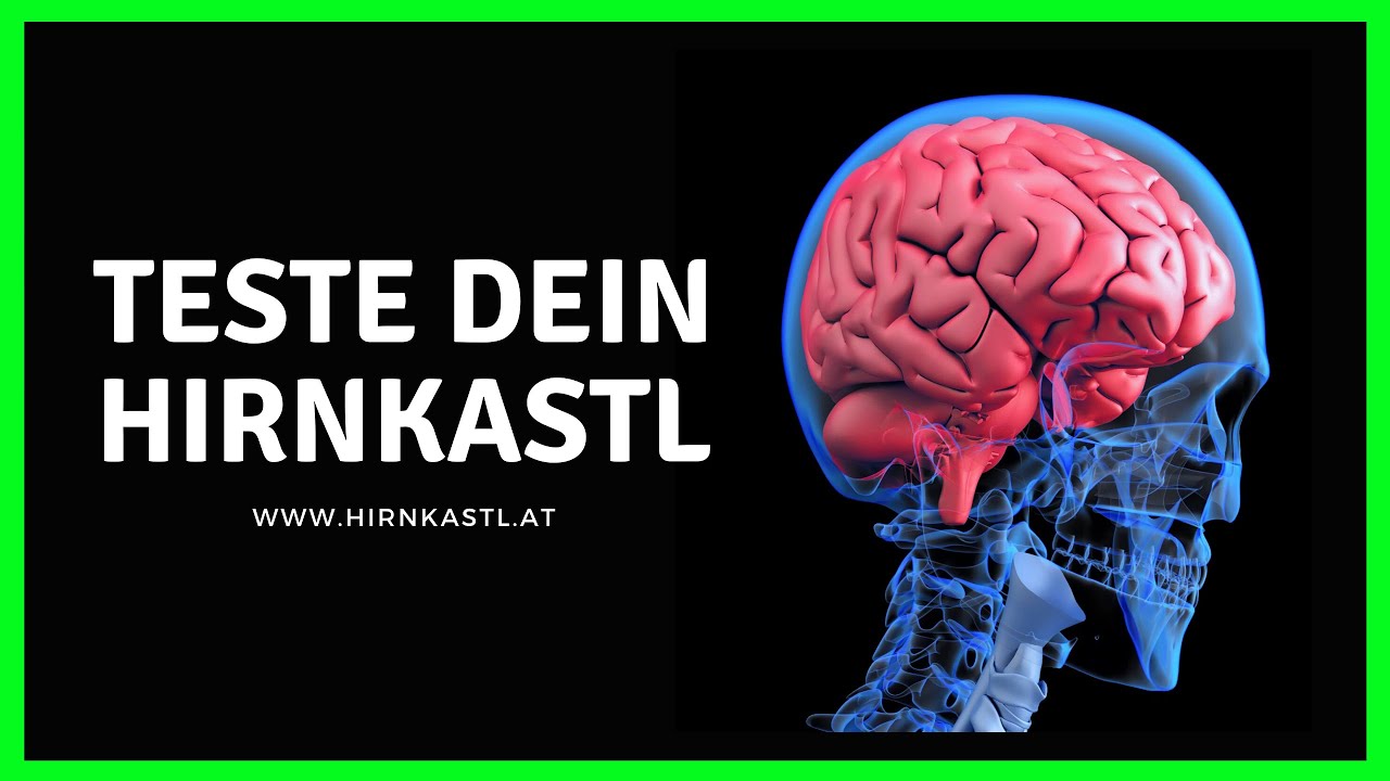 Teste dein Gehirn