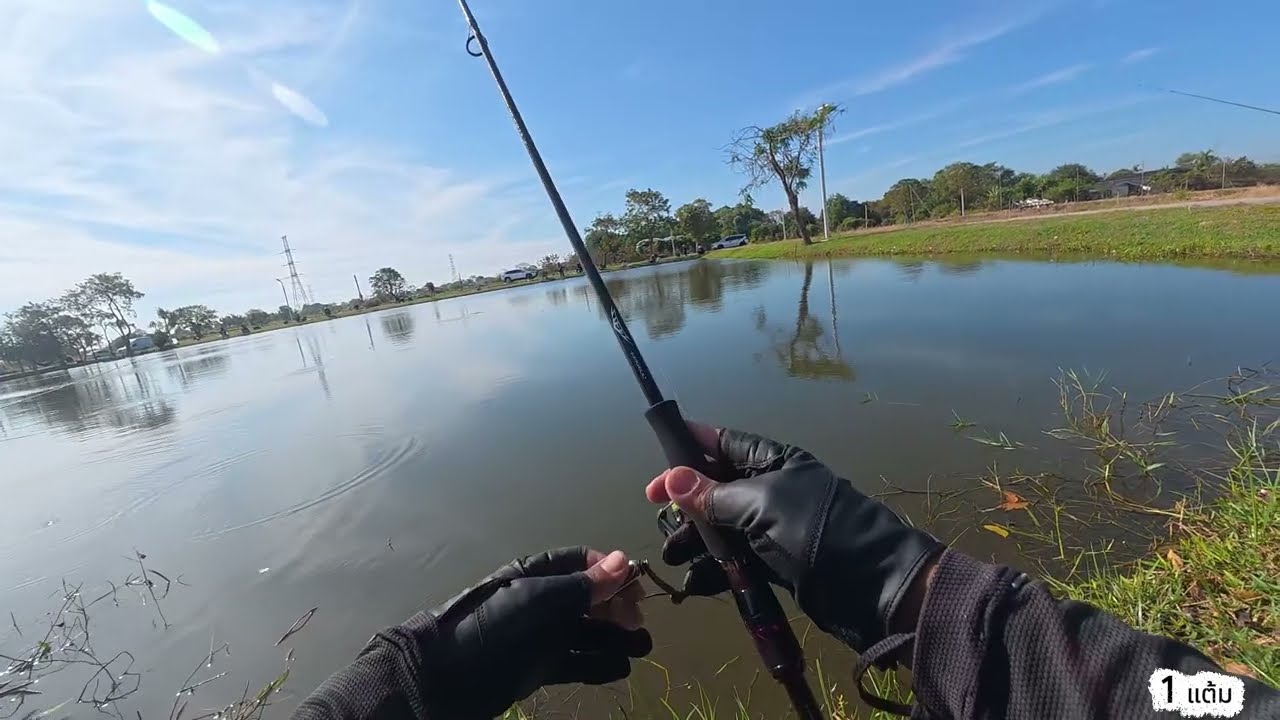 First Video to fish 2026#บ่อตกปลากะพง ธนกรฟาร์ม