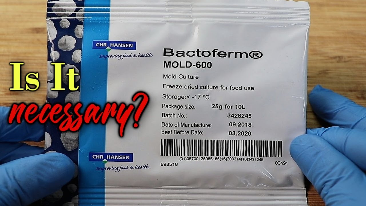 Mold 600 - Is it Necessary