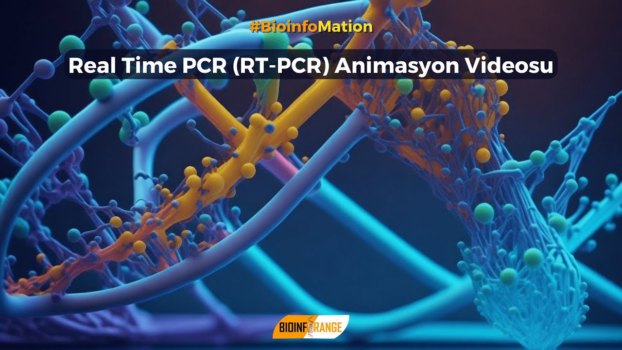 Real Time PCR (RT-PCR) Animasyon Videosu