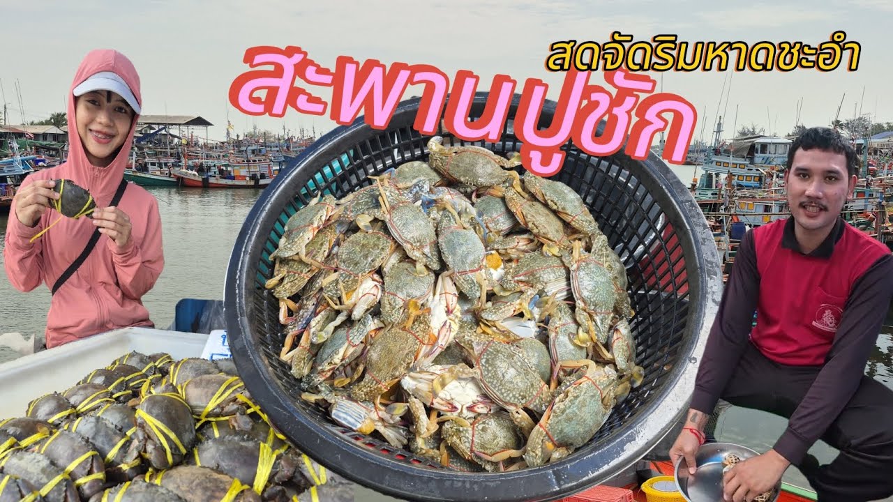 สะพานปูชัก หาดชะอำวัตถุดิบจากทะเลสดๆ ปูม้าอะไรจะเยอะขนาดนี้ มาแล้วไม่ผิดหวัง