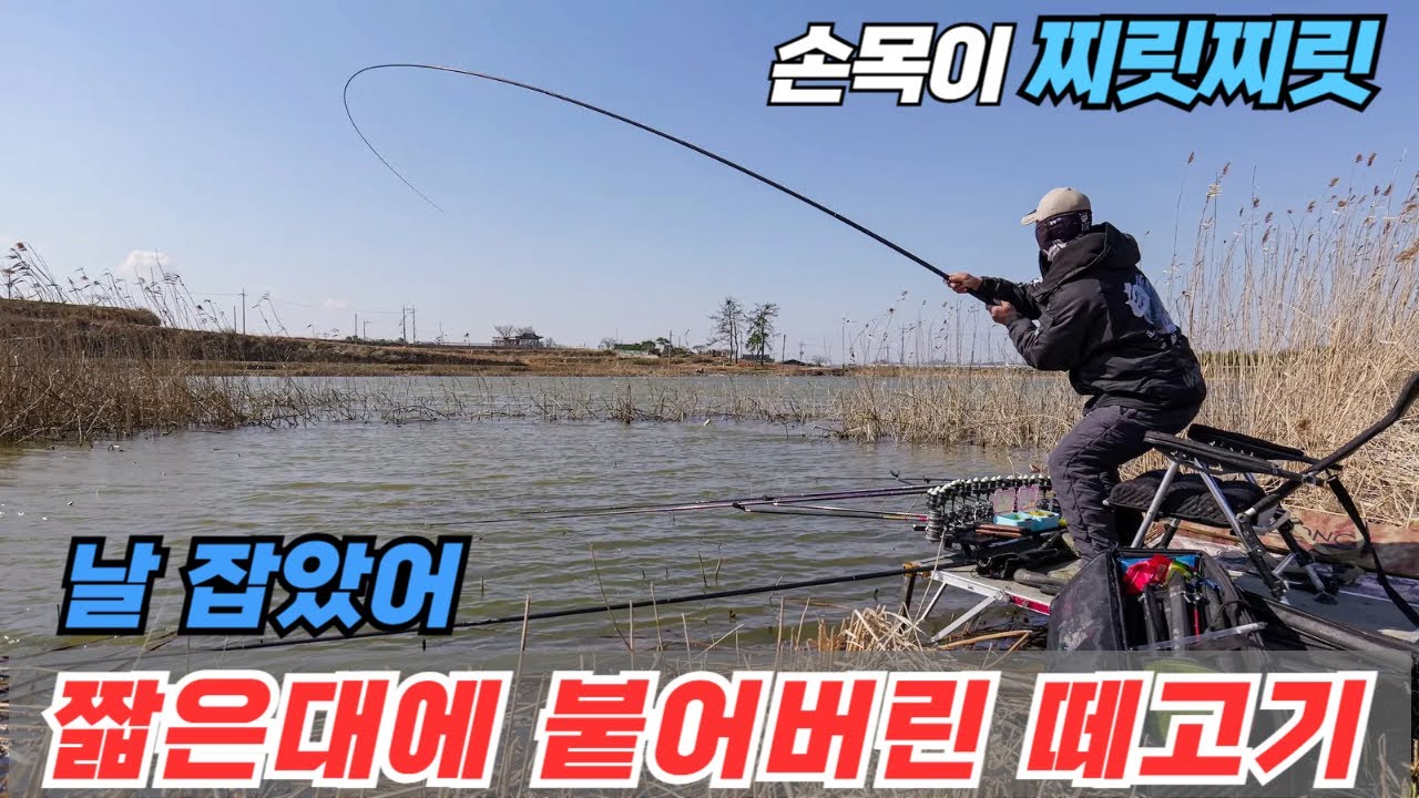 찌릿찌릿 짧은대 손맛,  도랏? 미춋? 감탄사 연발중