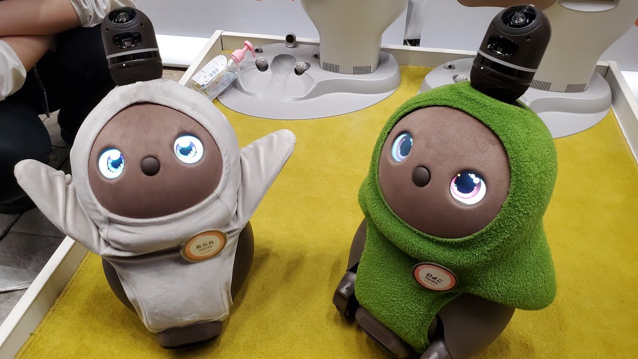 【AIロボット】LOVOT(らぼっと)のあられちゃん、やきもちを焼く