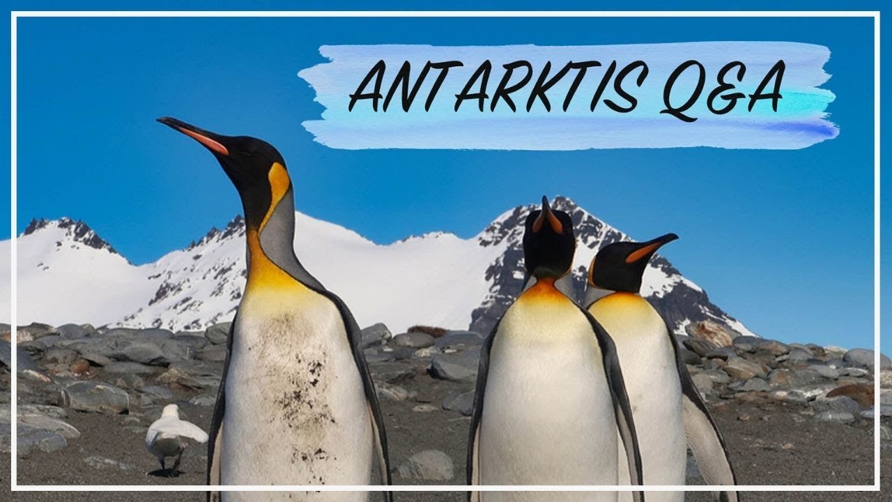 ANTARKTIS Q&A #2 - Umweltschutz, Seekrankheit & beste Reisezeit