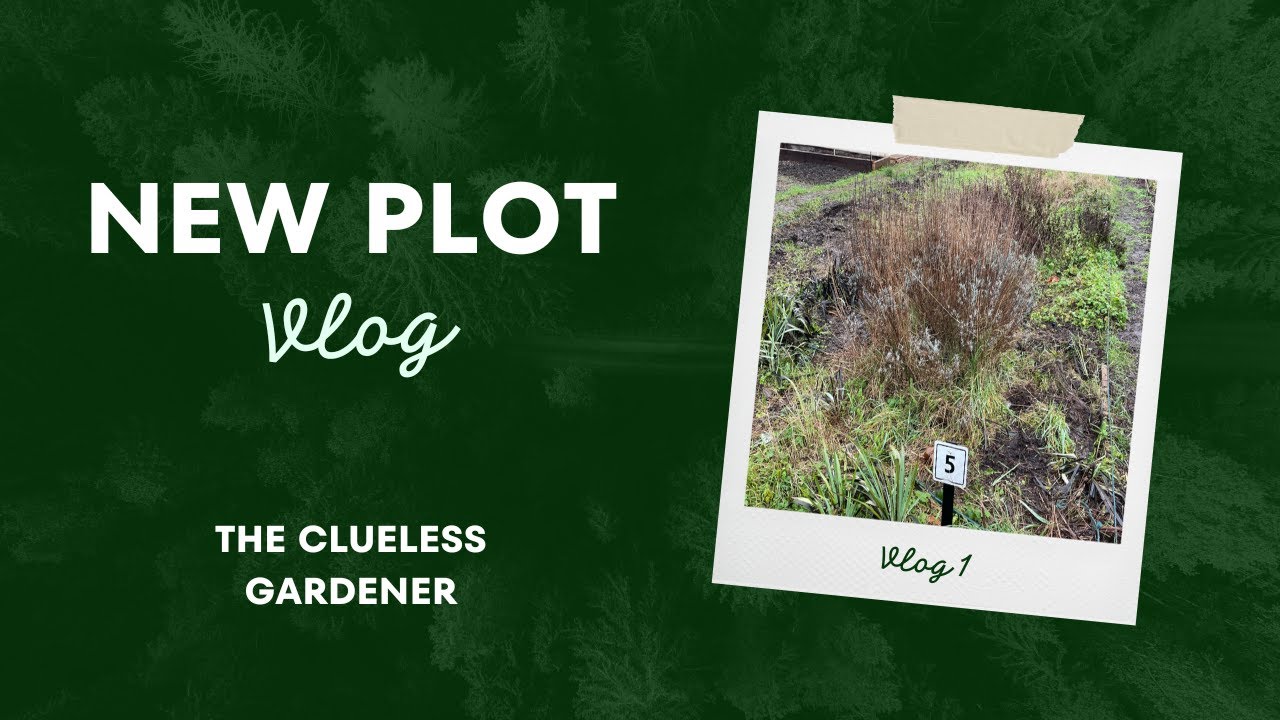 New Allotment Plot | Plot & Site Tour | Interim Storage | Starting Out