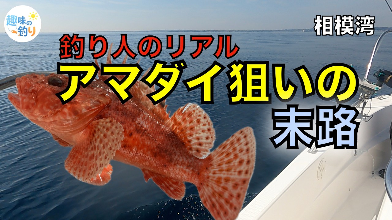 シロアマダイ狙いの末路 期待に満ちた出航から凪の海に沈黙するまで