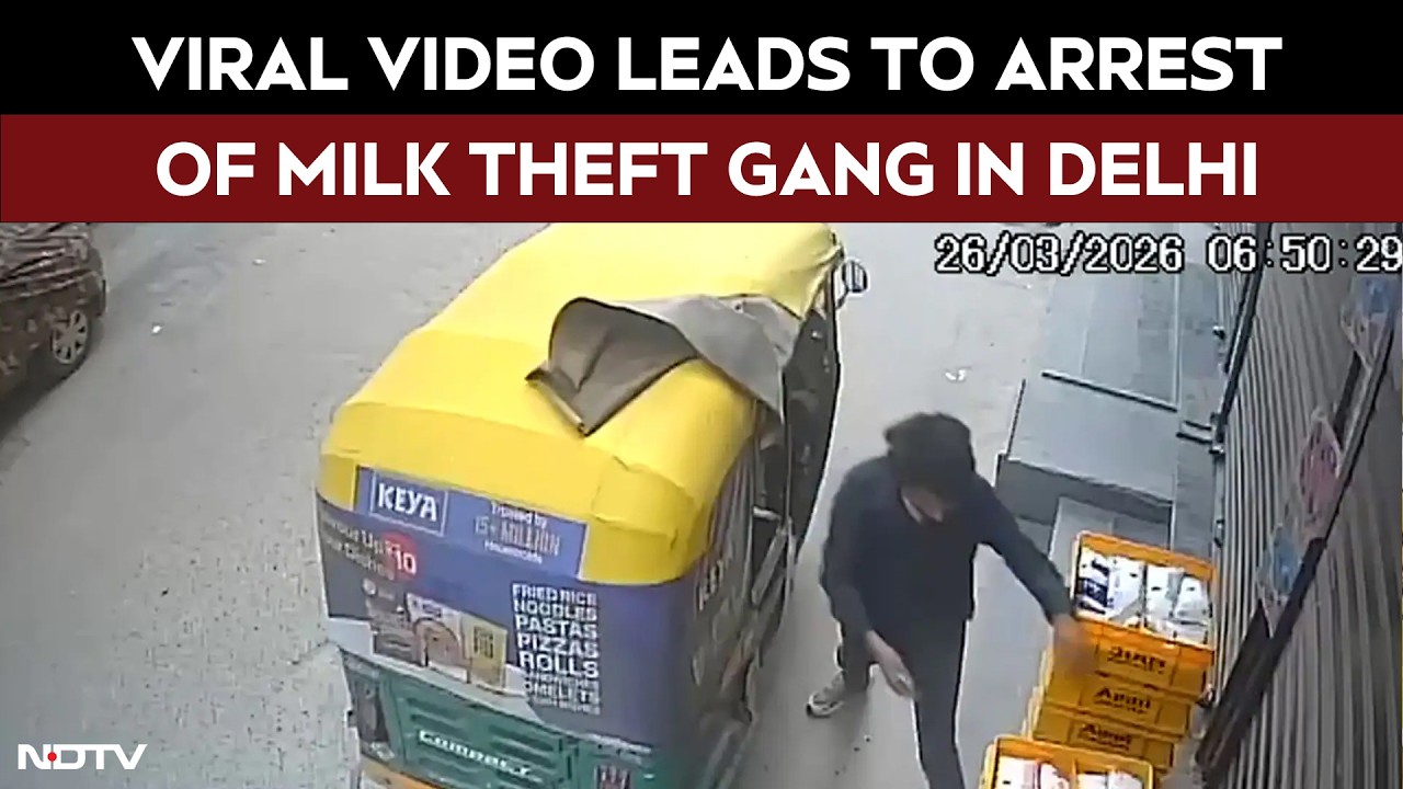 Delhi News Today | Viral Video Leads To Arrest of Milk Theft Gang In Delhi