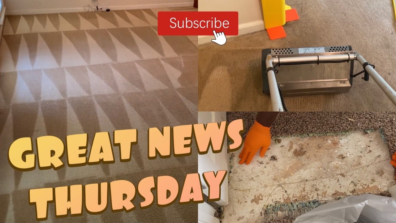 CARPET CLEANING / CRB / CARPET REPAIR / PET TREATMENT / WE MIGHT BE MOVING