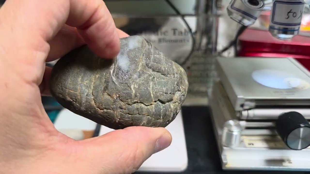 추천 나노 광학현미경으로 카보나도 다이아몬드 구별해 내기. 포항 공룡 다이아몬드 공원 해변에서 다이아몬드 찾기- 581