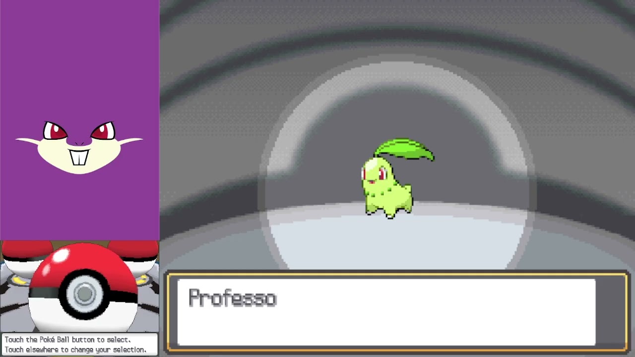 Youngster Joey challenge - Part 1