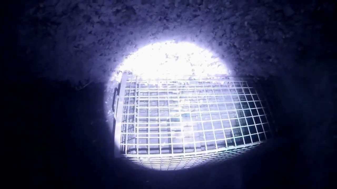 Fox Trap Closing
