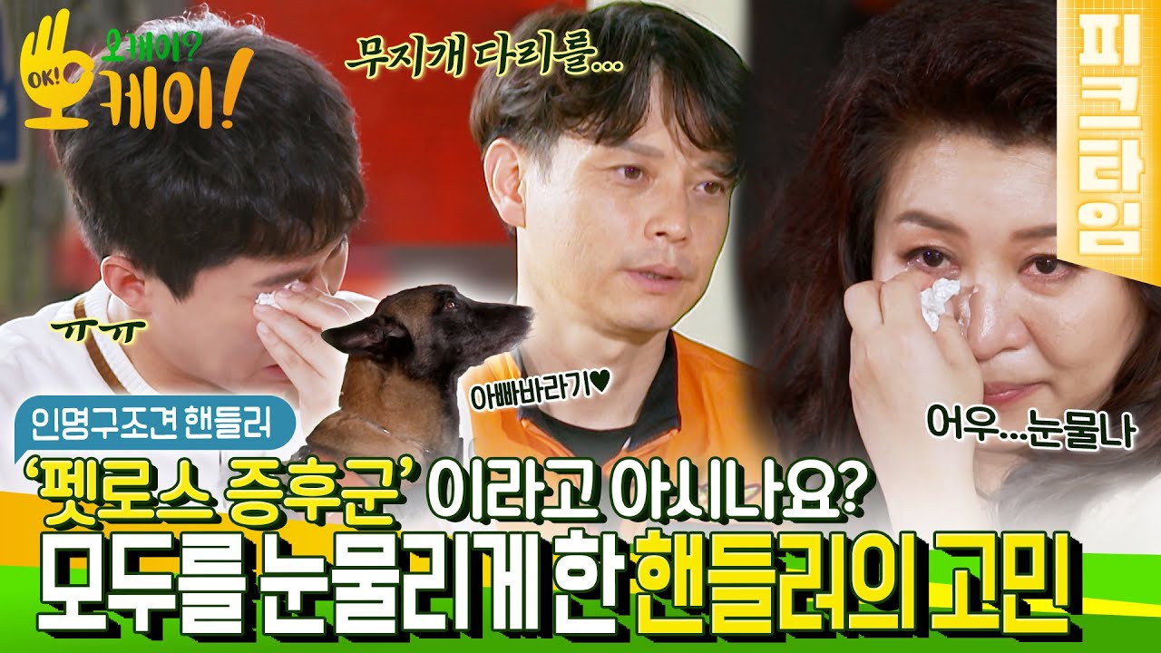 [#피크타임] 수명이 짧은 구조견으로 인해 펫로스 증후군을 겪는 구조대원의 고민 | #오케이오케이 | KBS 220802 방송