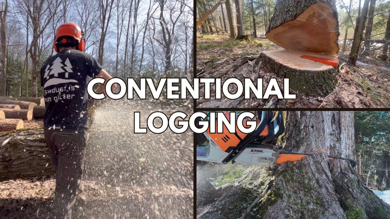 Conventional Logging |  NY Hardwood