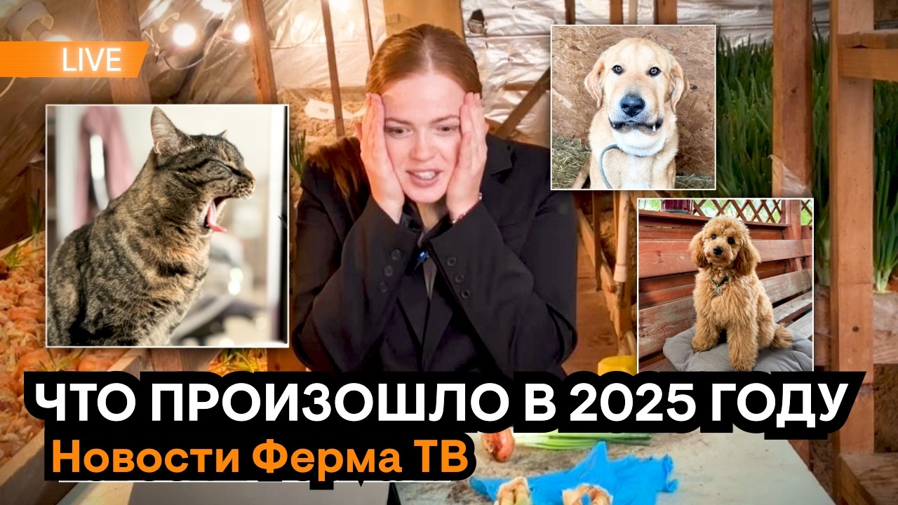 ЧТО ПРОИЗОШЛО В 2025 ГОДУ | Новости Ферма ТВ