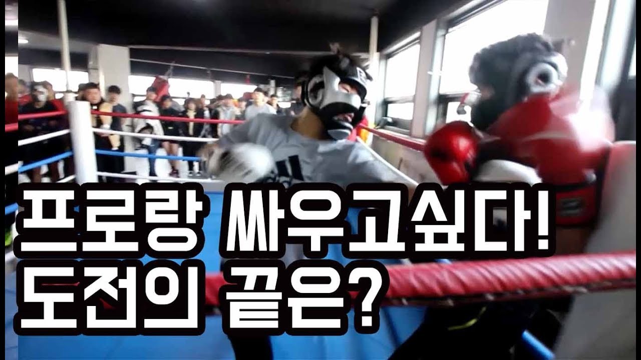 프로와 싸우고 싶다!! 동호인의 프로에게 도전!!! 과연!! boxing sparring!