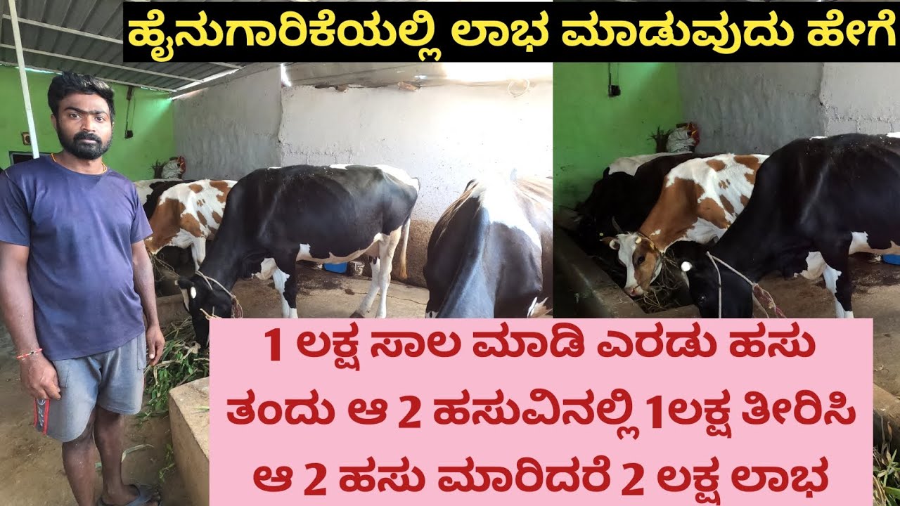 ಹೈನುಗಾರಿಕೆಯೇ ಜೀವನವಾಗಿದೆ... ಬೆಂಗಳೂರಲಿ ಕೆಲಸ ಮಾಡಿದ್ದೇನೆ ಆದರೆ ನಮ್ಮನೆ ಮುಂದೇನೆ ಅಷ್ಟನ್ ಸಂಪಾದಿಸಬಹುದು...