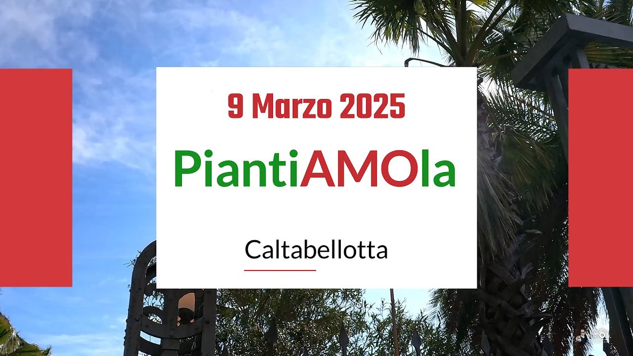 PiantiAMOla
