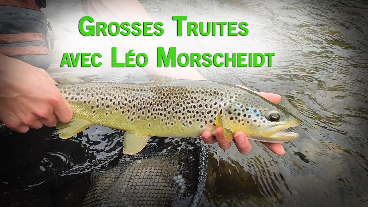 Grosses truites avec Léo Morscheidt alias @LesPoissosnEtLePecheur | Portrait#1