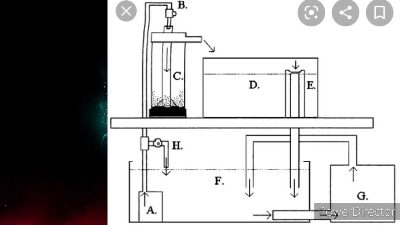 mYDIY #TILAPIA #egg incubator#fish incubator