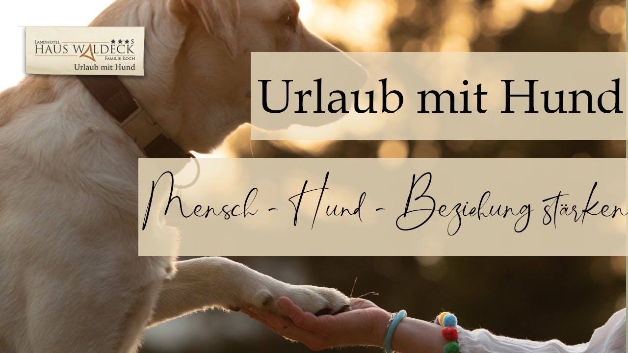 Bindung stärken im Urlaub mit Hund