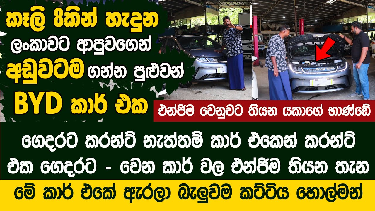කෑලි 8කින් හැදුන ලංකාවේ අඩුවටම ගන්න පුළුවන් BYD කාර් එක  - BYD Car Dolphin