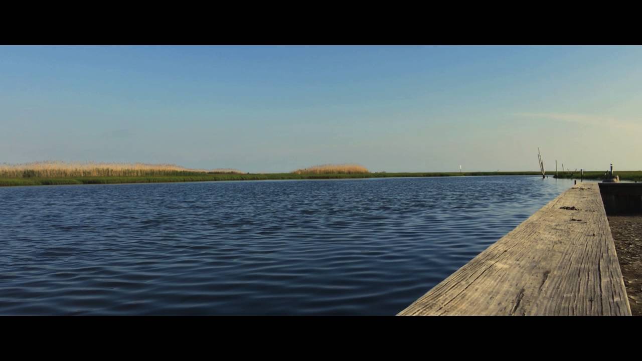 Moondog Labs + iPhone SE + Filmic Pro + Feiyu Tech Gimbal test footage