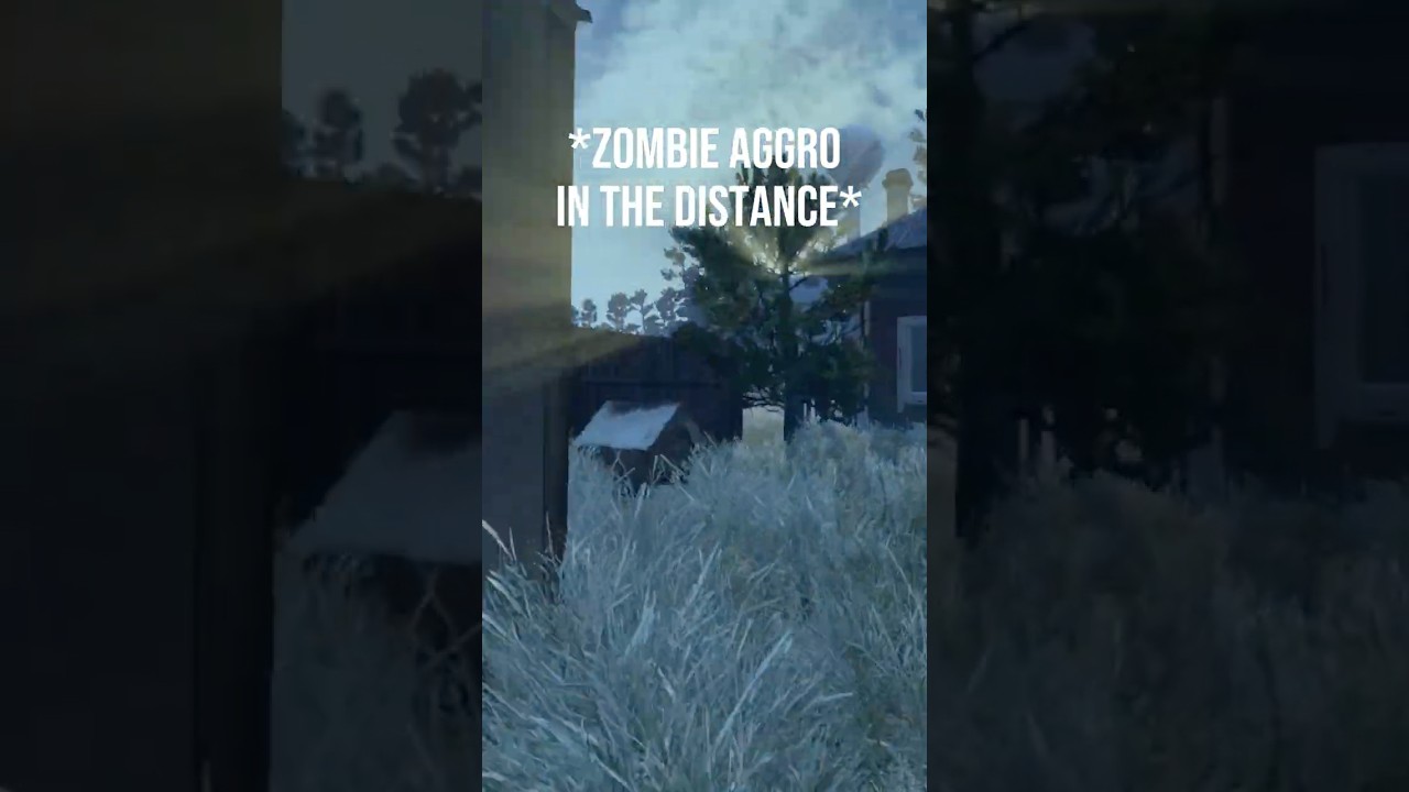 DayZ is A Comedy #dayz #gaming #dayzclips
