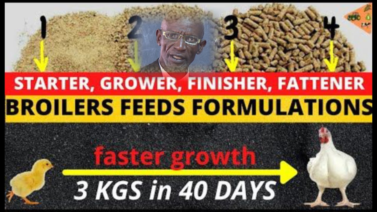 CHICKEN:How to make your own poultry feed | Broiler Finisher Marsh Formulae With Dr. Isa Luigare.PT3