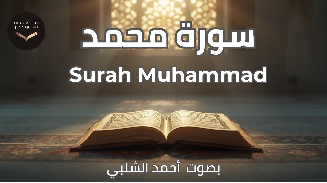 Surah Muhammad ✨ The Prophet | سورة محمد (47/114)
