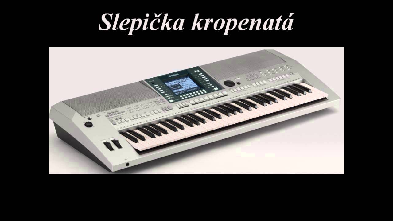 Slepička kropenatá