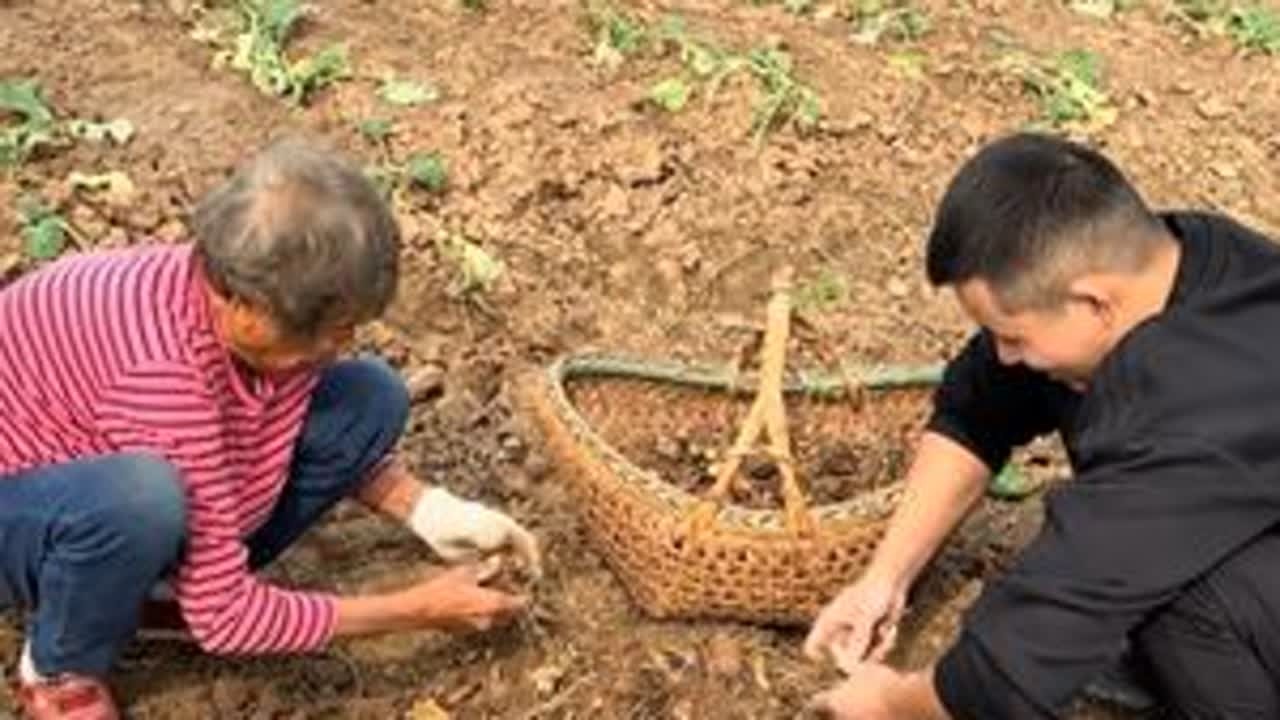 今天让我回忆起小时候上学奶奶弄毛芋头拨给我吃#农村生活 #家有一老如有一宝 #私教一对一 #靖江刘教练 #好身材练起来 @抖音小助手