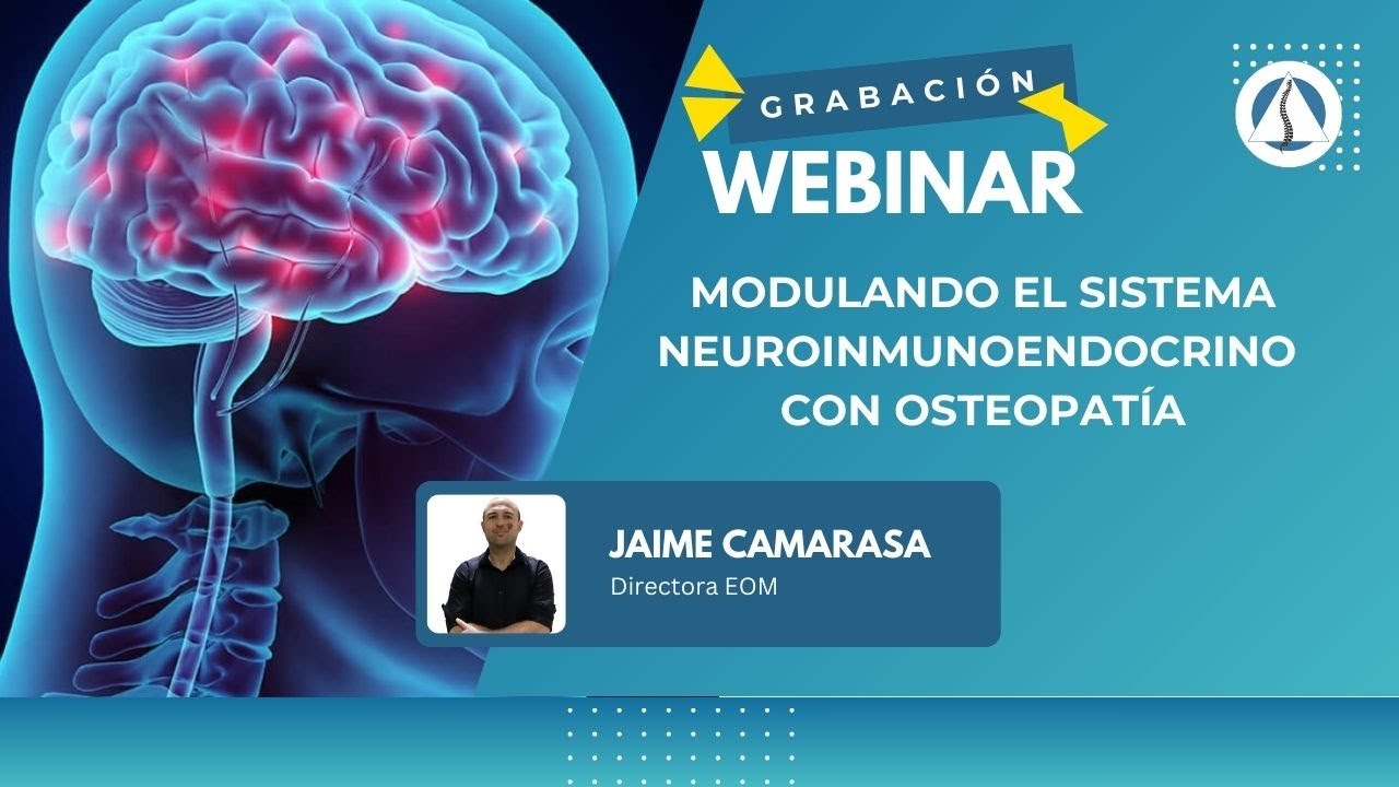 Modulando el Sistema Neuroinmunoendocrino con Osteopatía