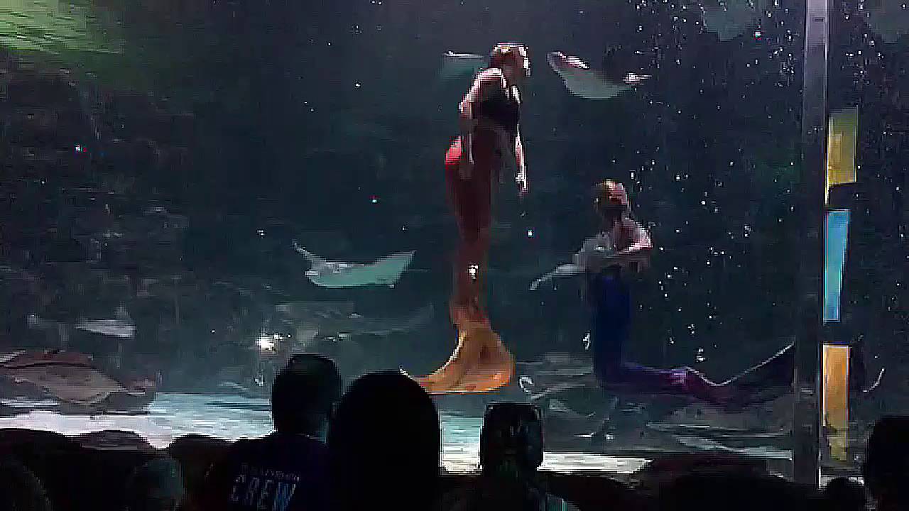 El show de las sirenas
