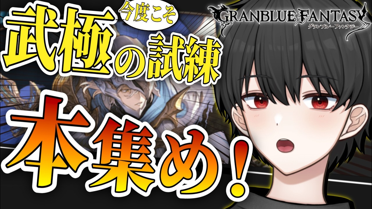 🔴今度こそ武極の試練を周ります！本集めだああああ！！【グラブル完全初見】